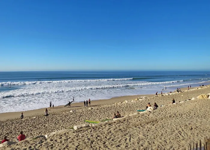 Apartamento Les Oceanides-14 By Interhome *